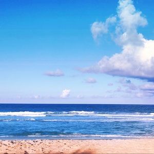 Meet your Posher, Charlotte